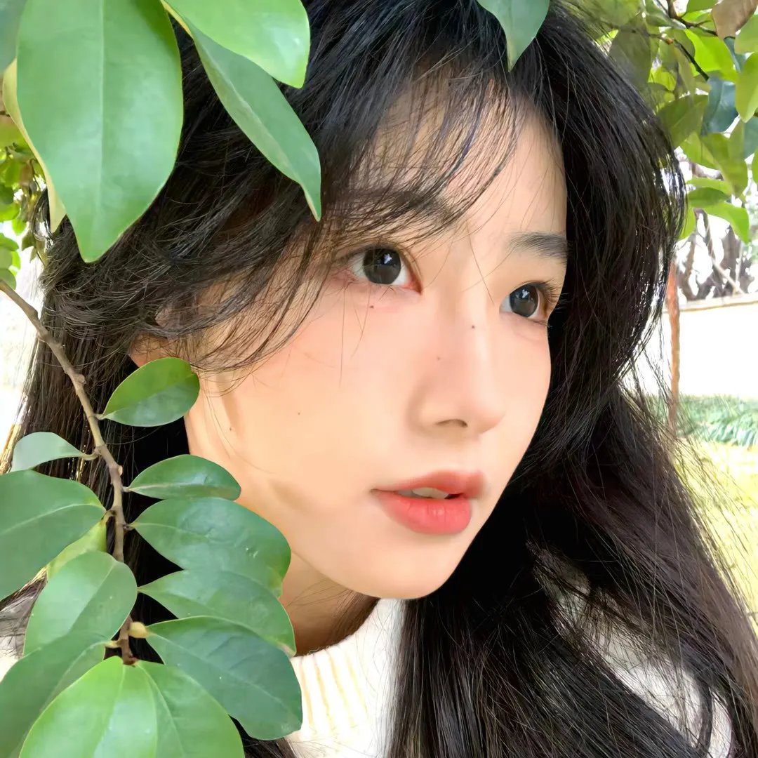 徐秋影案件